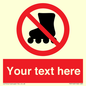 PV5140: Custom No Rollerblading Sign
