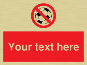 PV5198: Custom No Ball Games Sign