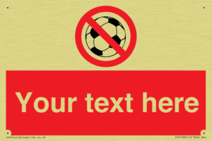 PV5198: Custom No Ball Games Sign