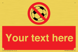 PV5198: Custom No Ball Games Sign