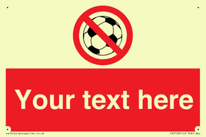 PV5198: Custom No Ball Games Sign