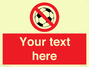 PV5198: Custom No Ball Games Sign