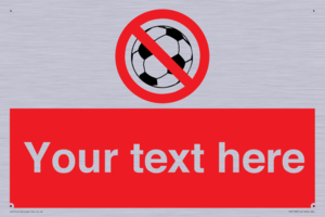 PV5198: Custom No Ball Games Sign