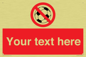 PV5198: Custom No Ball Games Sign