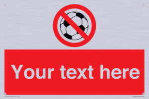 PV5198: Custom No Ball Games Sign