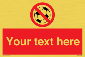 PV5198: Custom No Ball Games Sign