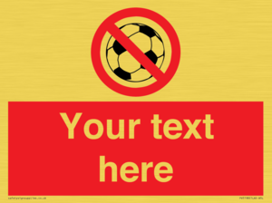 PV5198: Custom No Ball Games Sign