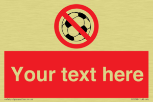 PV5198: Custom No Ball Games Sign