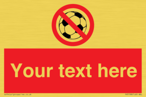 PV5198: Custom No Ball Games Sign