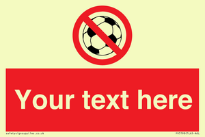 PV5198: Custom No Ball Games Sign