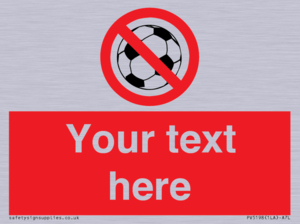 PV5198: Custom No Ball Games Sign