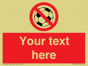 PV5198: Custom No Ball Games Sign