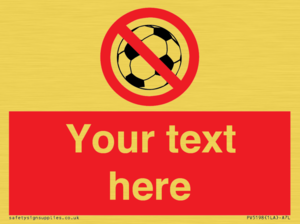 PV5198: Custom No Ball Games Sign