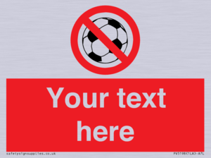 PV5198: Custom No Ball Games Sign