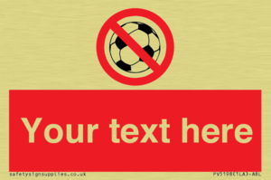 PV5198: Custom No Ball Games Sign