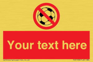 PV5198: Custom No Ball Games Sign