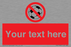 PV5198: Custom No Ball Games Sign