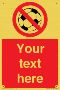 PV5198: Custom No Ball Games Sign