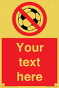PV5198: Custom No Ball Games Sign