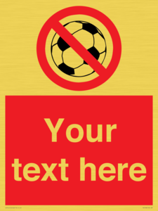 PV5198: Custom No Ball Games Sign