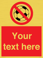 PV5198: Custom No Ball Games Sign