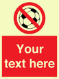 PV5198: Custom No Ball Games Sign
