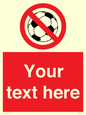 PV5198: Custom No Ball Games Sign