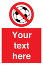 PV5198: Custom No Ball Games Sign