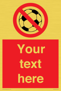 PV5198: Custom No Ball Games Sign