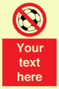 PV5198: Custom No Ball Games Sign