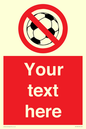 PV5198: Custom No Ball Games Sign