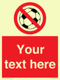 PV5198: Custom No Ball Games Sign