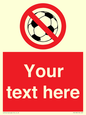 PV5198: Custom No Ball Games Sign