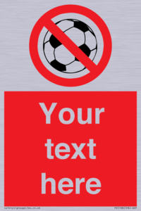 PV5198: Custom No Ball Games Sign