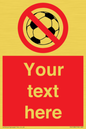 PV5198: Custom No Ball Games Sign