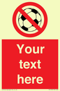 PV5198: Custom No Ball Games Sign