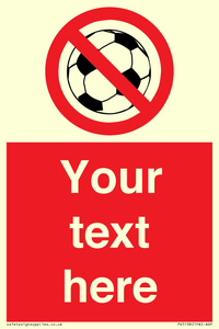 PV5198: Custom No Ball Games Sign