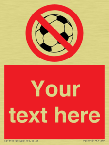 PV5198: Custom No Ball Games Sign