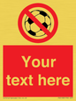 PV5198: Custom No Ball Games Sign