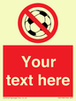 PV5198: Custom No Ball Games Sign