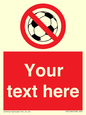 PV5198: Custom No Ball Games Sign