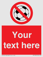 PV5198: Custom No Ball Games Sign
