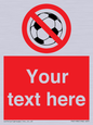 PV5198: Custom No Ball Games Sign