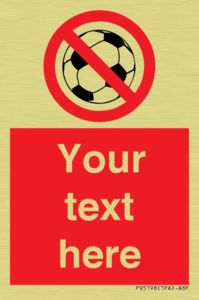 PV5198: Custom No Ball Games Sign