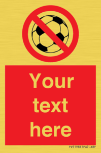 PV5198: Custom No Ball Games Sign