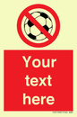 PV5198: Custom No Ball Games Sign
