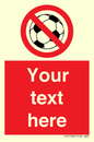 PV5198: Custom No Ball Games Sign