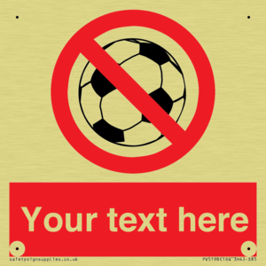 PV5198: Custom No Ball Games Sign