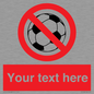 PV5198: Custom No Ball Games Sign