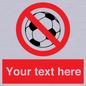 PV5198: Custom No Ball Games Sign